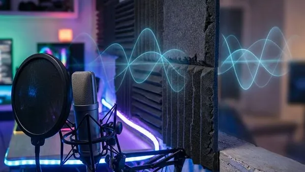 ダイソー吸音フェルトでボイチャの音漏れは防げる？3000円で実力検証